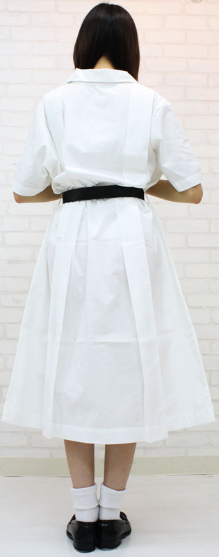 �_�˂̏��q���w�����i�ĕ��j�@�l