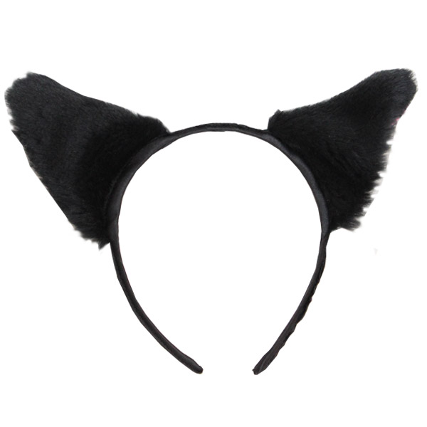 �t���t���L���J�`���[�V���P�i�i�����j