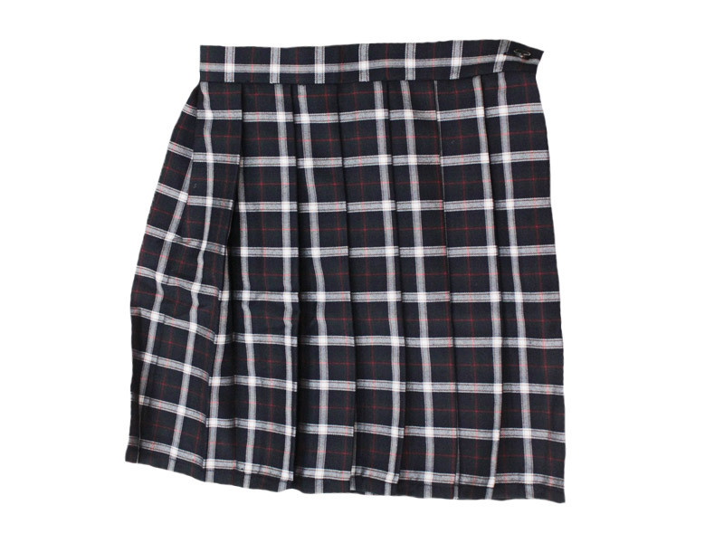 �`�F�b�N���v���[�c�X�J�[�g�P�i�@�a�h�f