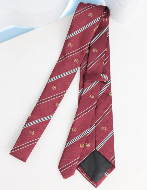 �X�N�[���l�N�^�C�P�i�@���