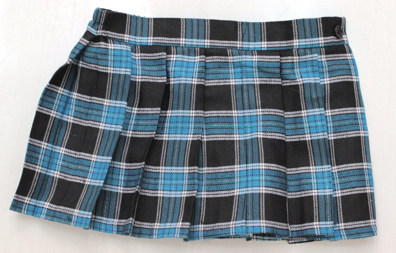 ���~�j�`�F�b�N�X�J�[�g�@�a�h�f