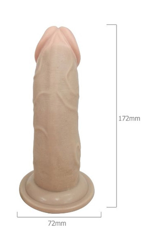 �V��V���o�����@�i��j