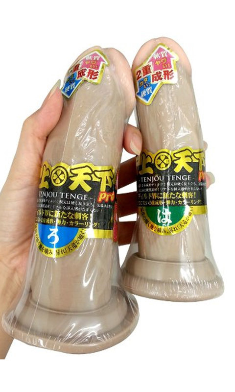 �V��V���o�����@�i��j