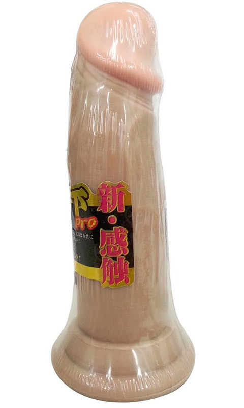 �V��V���o�����@�i�́j