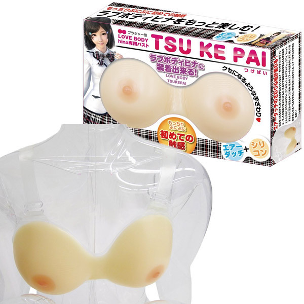 �u���W���[�^���u�{�f�B�q�i��p�o�X�g�@���ς�