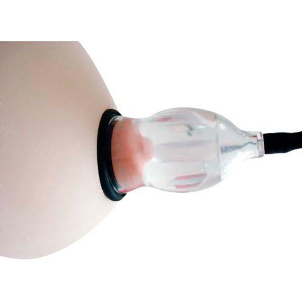 �j�b�v���b�V���[