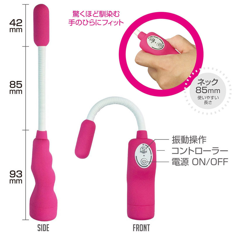 �r�u�����@���b�h�@�i�s���N�j