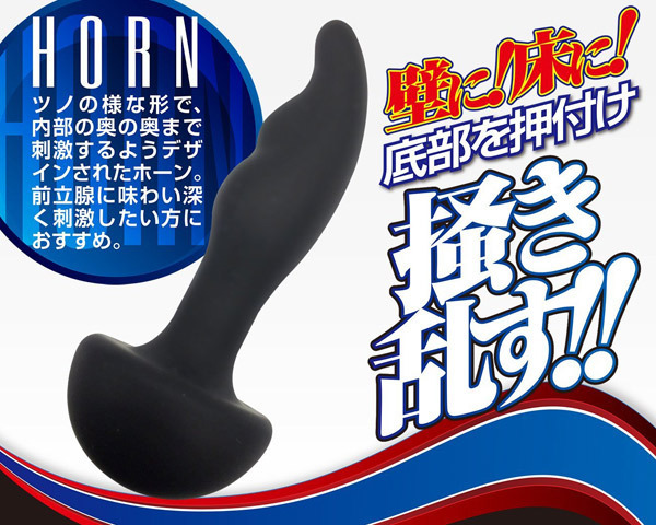 �A�i�X�s���@�i�z�[���j