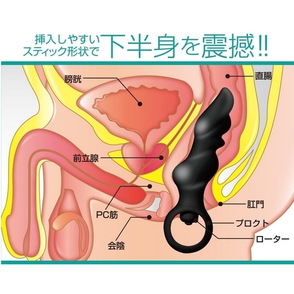 �v���N�g�X�e�B�b�N�@�i�W���C�j