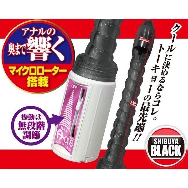 �A�i���g�[�L���[�@�i�a�J�u���b�N�j