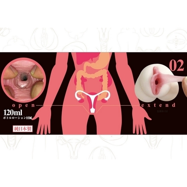 ���f�́@�i�O�Q�j