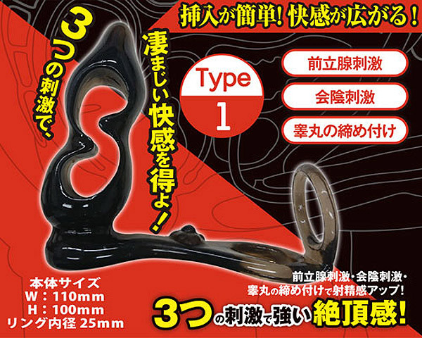 �X���[�X�A�i���@�i�s�������P�j