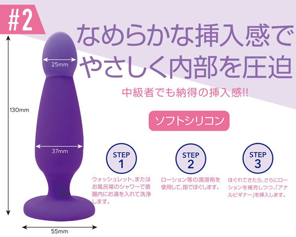 �A�i���r�M�i�[�@�i�Q�j