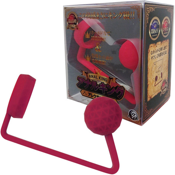 �A�i���L���O�@�i�A���N�T���_�[�j