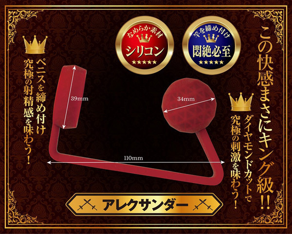 �A�i���L���O�@�i�A���N�T���_�[�j