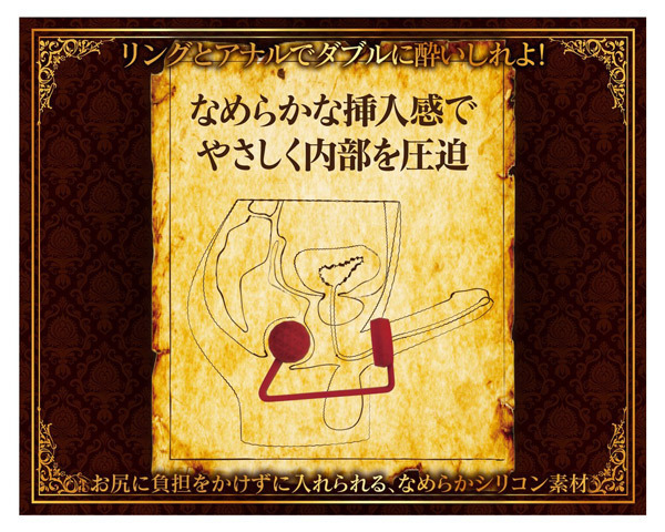 �A�i���L���O�@�i�A���N�T���_�[�j