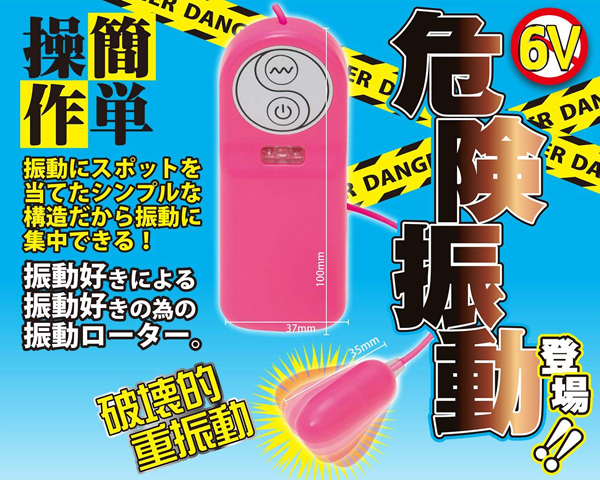 �f���W���[���[�^�[�@�i�s���N�j