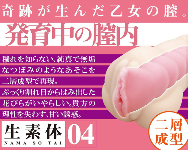 ���f�́@�i�O�S�j