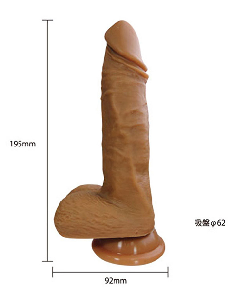 �\�t�e�B���@���x���@���A���V���R���f�B���h�@�i�l�j