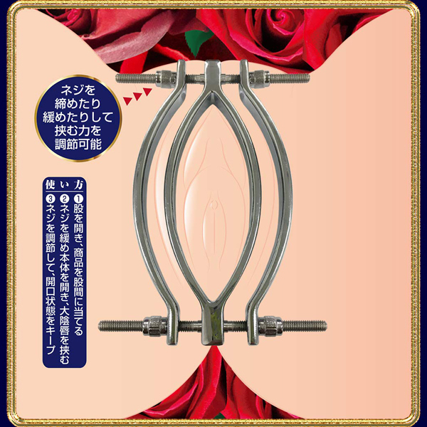 �v�b�V�[�N�����v