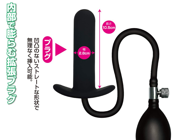 �o���[���v���O�@�i���C�g�j