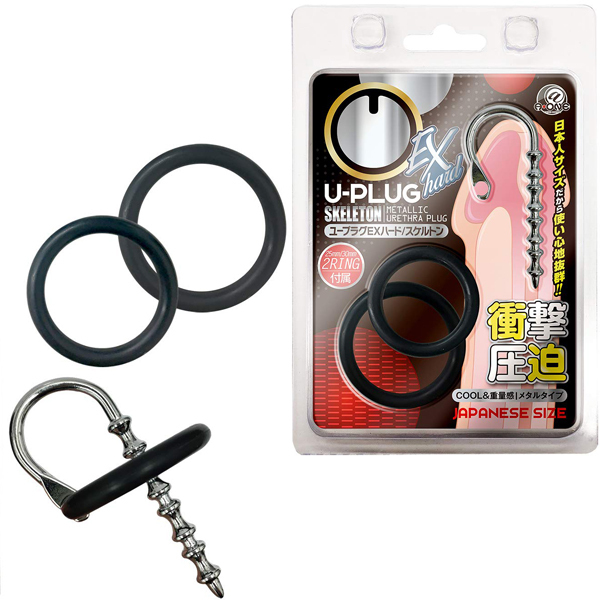 �t�|�v���O�@�d�w�n�[�h�@�i�X�P���g���j