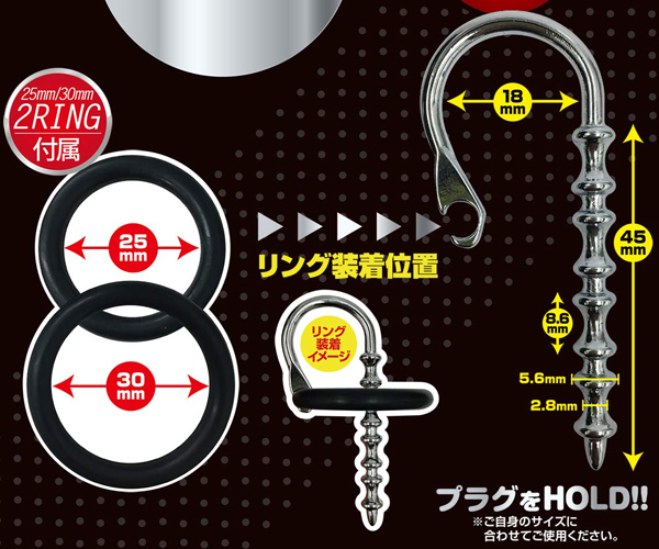 �t�|�v���O�@�d�w�n�[�h�@�i�X�P���g���j