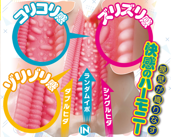 �R�����I�I�S����Z�b�V����