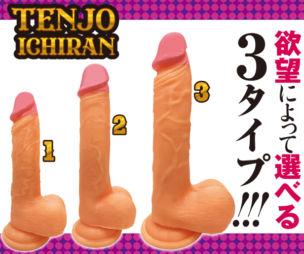 �V��ꗐ�@�i�R�j