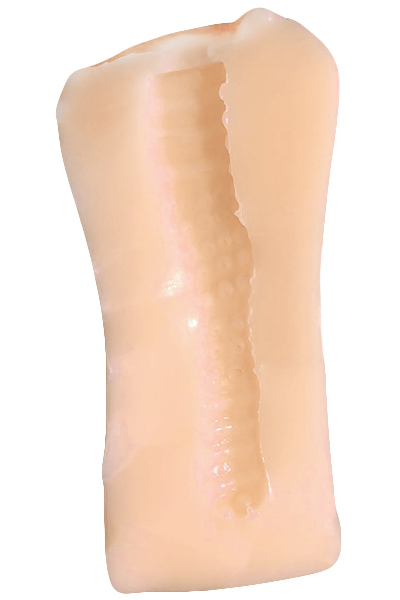 �Ö����w���@�{���i�ցj�̏ꍇ