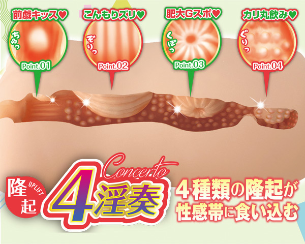 ���~���v�\�f�B�@�i�J�z�Q�R�΁j