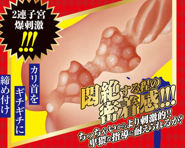 �ߘa�s���M�����̖����ː��w���@��������