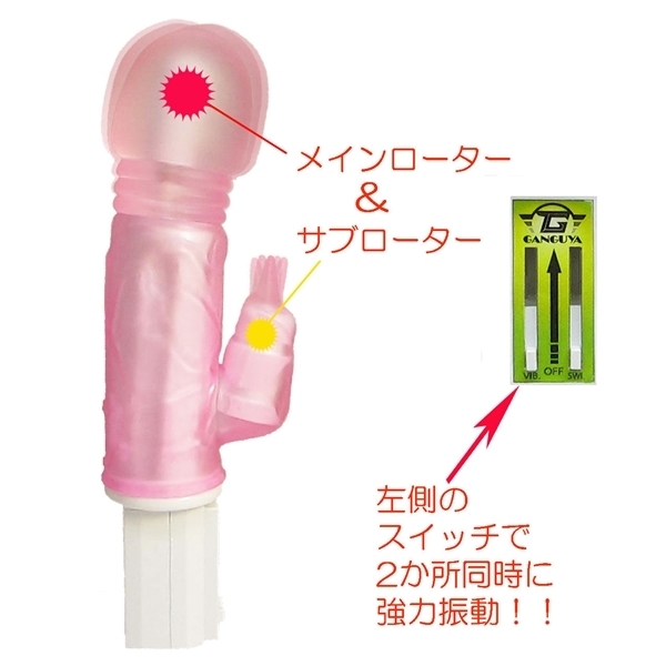 �K�C�L���m���@�i�s���N�j