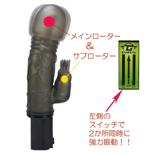 �K�C�L���m���@�i�X���[�N�j