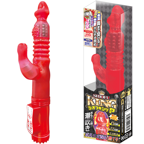 �V�I�t�L���O�@�i�o�j