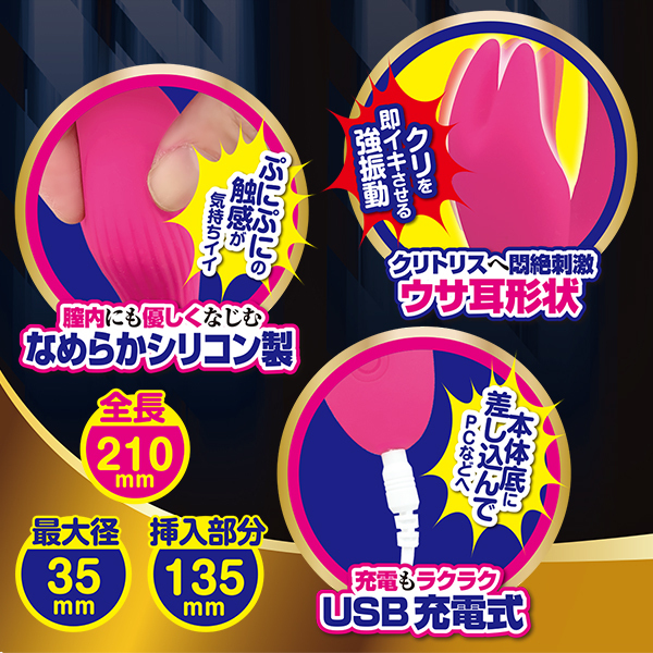 �C�N�C�b�N�v�i�_�u���j