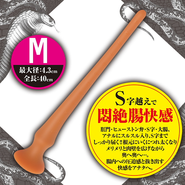 �����O�R�����X�l�[�N�v���O�@�i�m�[�}���@�l�j