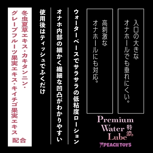 �ӂ��������[�V�����o�������������@�v���������@�k�������@�i�T�O�O�����@���Z�j