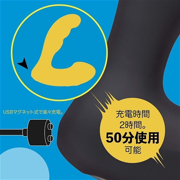 �a�k�t�d�@���������@�o�q�n�a�d�q�i�v���o�[�j