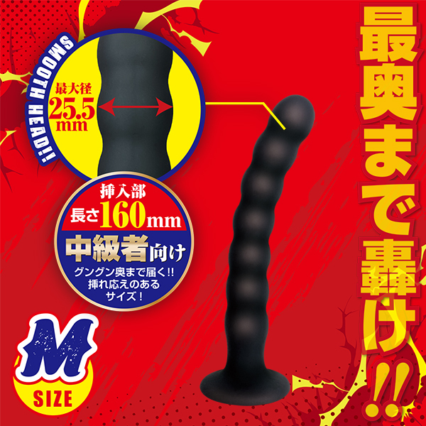 �A�i�N���b�V���@�i�l�j