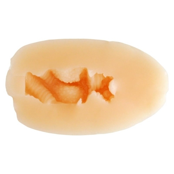 催眠性指導カプセルホールコレクション 野崎悠