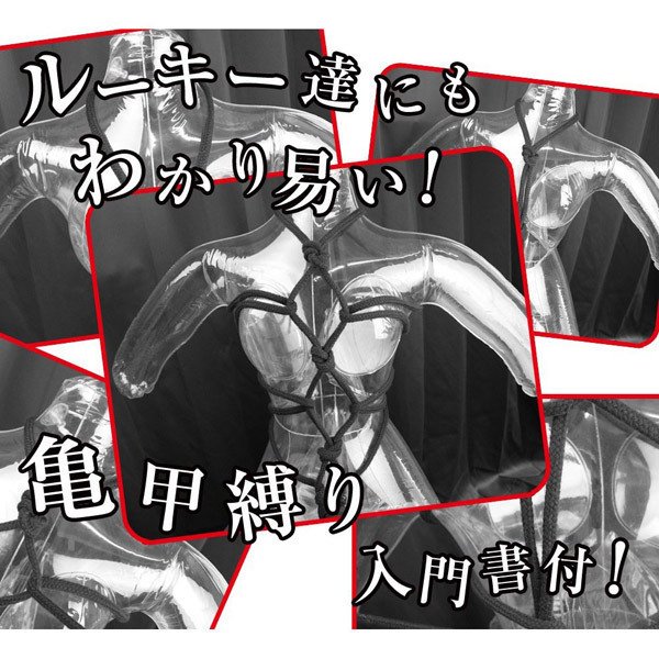 �g���b�N�}�X�^�[�@��