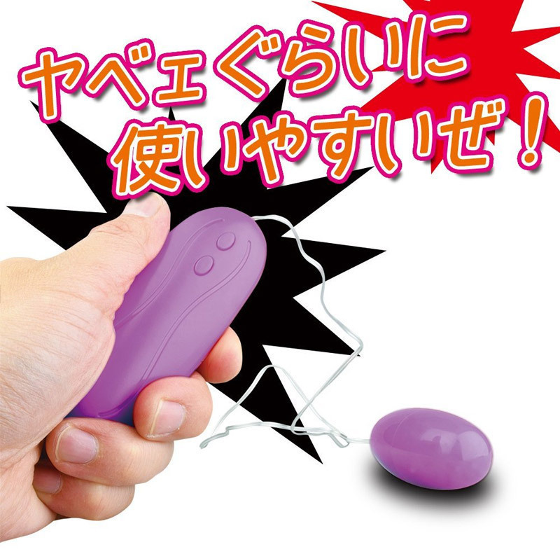 ���ʃ��[�^�[�����@�p�[�v��