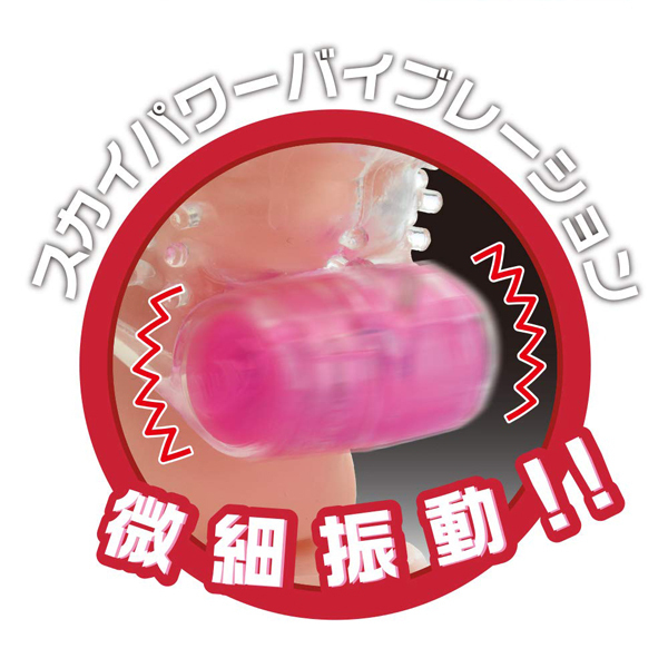 �X�^�[�v���`�i�@�i�n���N�j