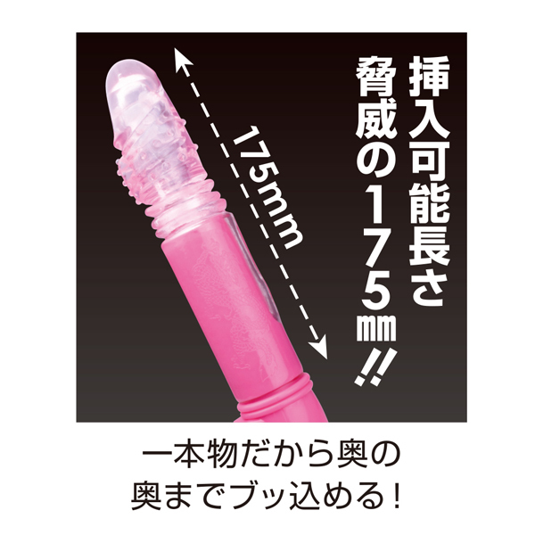 �w�������r�����������i�[�m�X�g���C�N�j�@�u���b�N