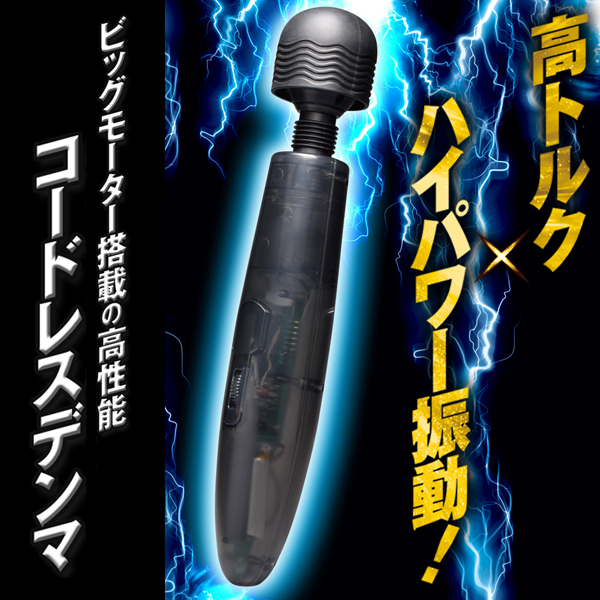 �v���Y�}�r�[�g