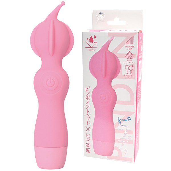 �s���f���@�i�s���N�j