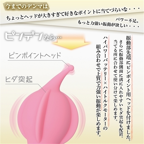 �s���f���@�i�s���N�j