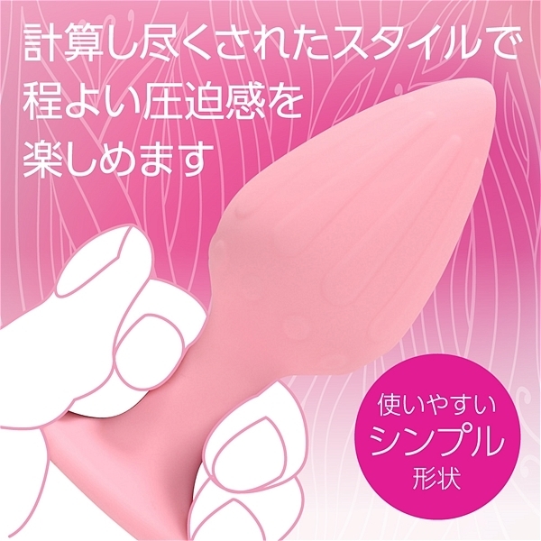 �A�i�v���@�i�r�T�C�Y�j