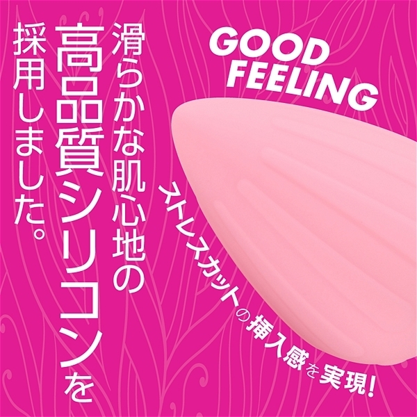 �A�i�v���@�i�l�T�C�Y�j